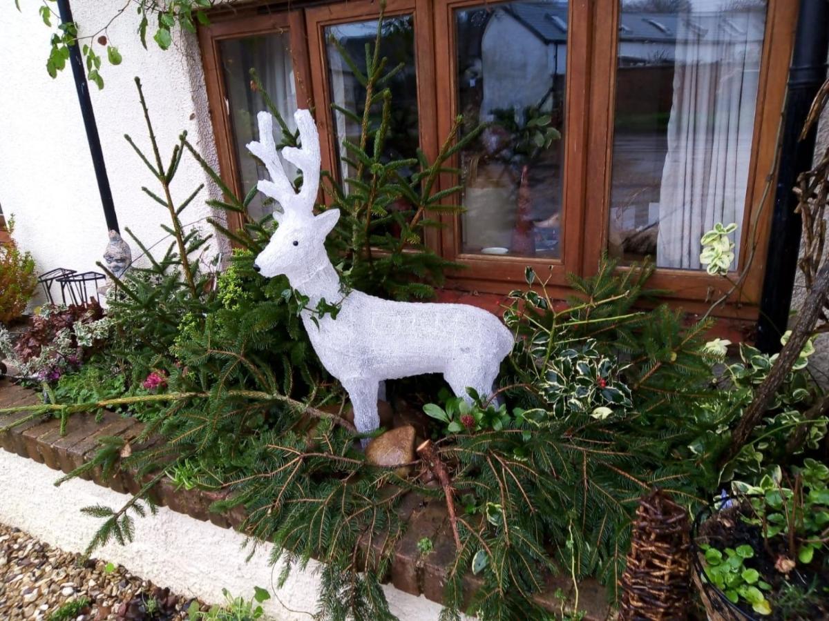 Charming Gnome Cottage In Devon Near Sidmouth Ottery St Mary Bagian luar foto